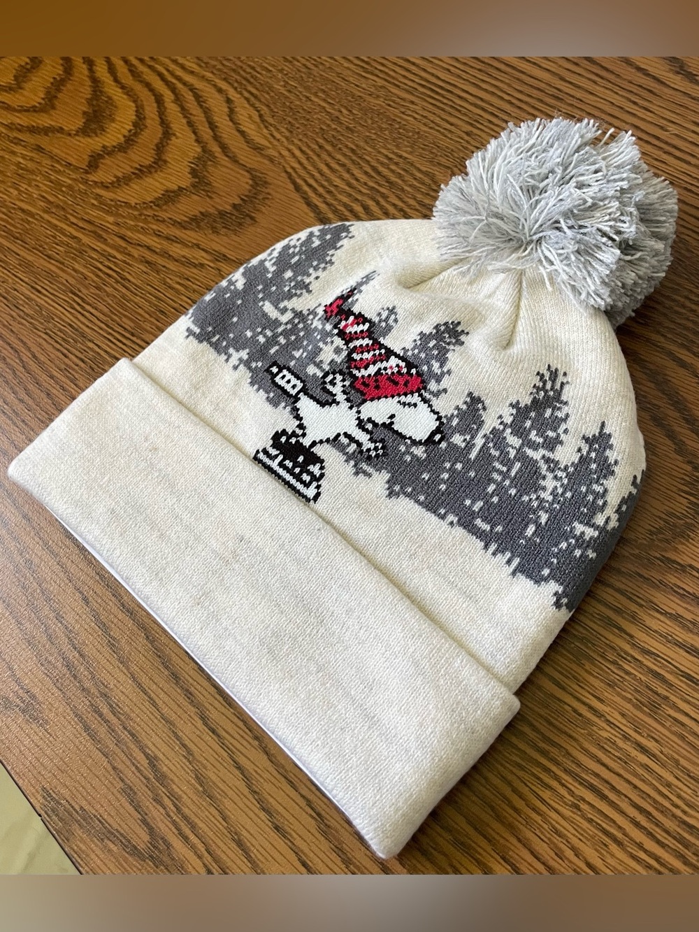 American Eagle beanie